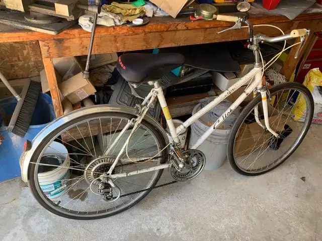 Ladies 12 speed Italian bike