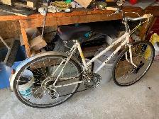 Ladies 12 speed Italian bike