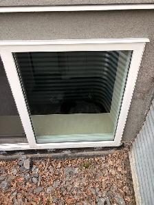Professional Window & Gutter Cleaning - Photo 4