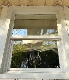 Professional Window & Gutter Cleaning - Photo 8