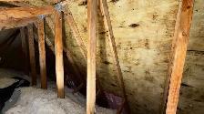 Attic Mold