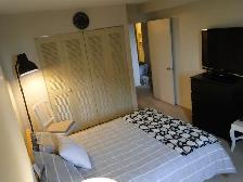 Large apartment in well managed building! - Photo 3