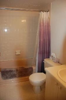 Large apartment in well managed building! - Photo 9