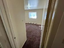 2 Bedroom - EK/Elmwood - 320 Poplar Ave - Photo 8