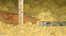 Attic Insulation