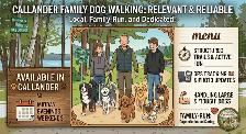 Callander Dog Walker – Fun, Family-Run & Large Pups - Photo 2