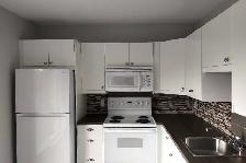 Appartement 3 1/2 Ahuntsic climatisé