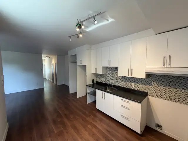 Beau Grand 3.5. Près de la place Valois.