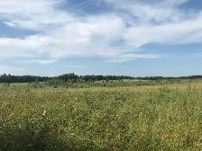 160acres for sale - Photo 3