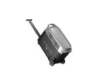 ECOFLOW 7200W- 3600W DELTA PRO POWER STATION