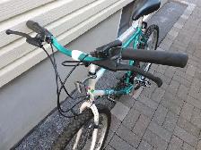 Vélo de Ville, Vintage, Haute Gamme Fiori San Marino - Photo 5