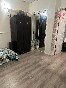2 Bedroom Basement Available for Rent - Photo 3