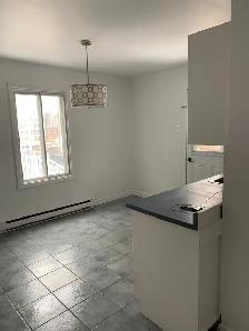 Grand 4 et demi lumineux avec stationnement et sous-sol - 1741$ - Photo 6