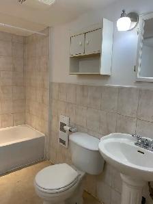 Logement 31/2 Rosemont Petite Patrie - Photo 9