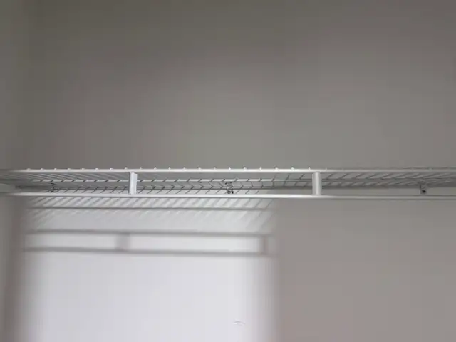 WIRE MESH CLOSET SHELF