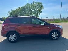 2014 Ford Escape FWD - ONLY 93K - DRIVES LIKE NEW - Photo 5