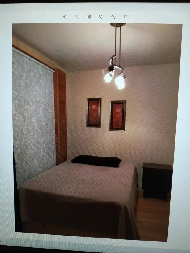 chambre en colocation