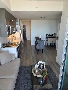 Fully Furnished One Bedroom Apartment in Downtown Kitchener - Photo 2