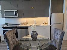 Fully Furnished One Bedroom Apartment in Downtown Kitchener - Photo 5