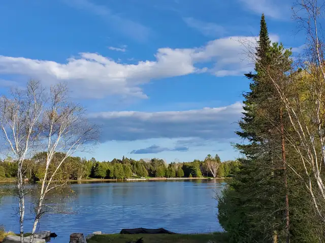 LIVE ON THE WATER