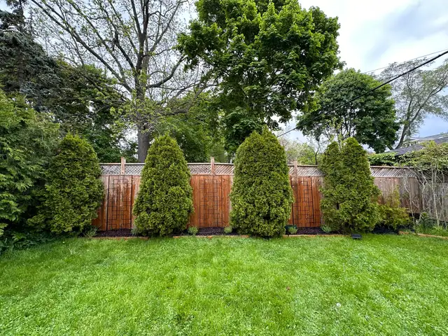 High Park Spacious Apartment With Yard