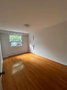 High Park Spacious Apartment With Yard - Photo 3