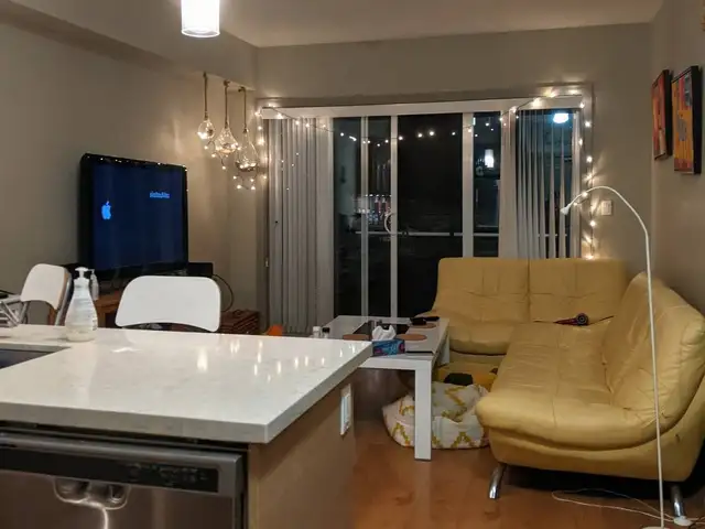 $1,500 / 2br - 900ft2 - Pet-friendly 2B2B Metrotown Condo
