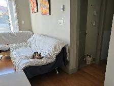 $1,500 / 2br - 900ft2 - Pet-friendly 2B2B Metrotown Condo - Photo 2