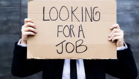 looking for  job opportunities