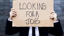 looking for  job opportunities