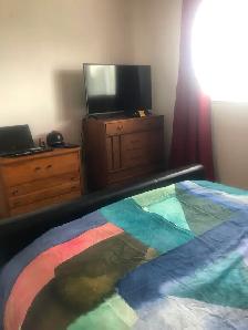 ROOM for rent in BURLINGTON HOME, GuelphLine Dundas street $760 - Photo 3
