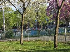Villeray - Grand 4 1/2 près de tout Tres Éclairé - Photo 12