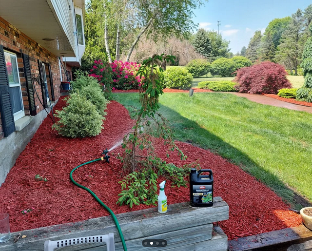 LAWN, GARDEN BED AND FULL PROPERTY MAINTENANCE