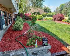 LAWN, GARDEN BED AND FULL PROPERTY MAINTENANCE