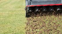 LAWN, GARDEN BED AND FULL PROPERTY MAINTENANCE - Photo 2