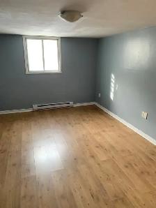 À LOUER – SEMI-SOUS-SOL À MONTRÉAL-NORD - Photo 3