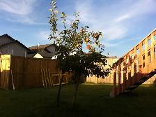 4 beds 2 baths single house for rent - Photo 2