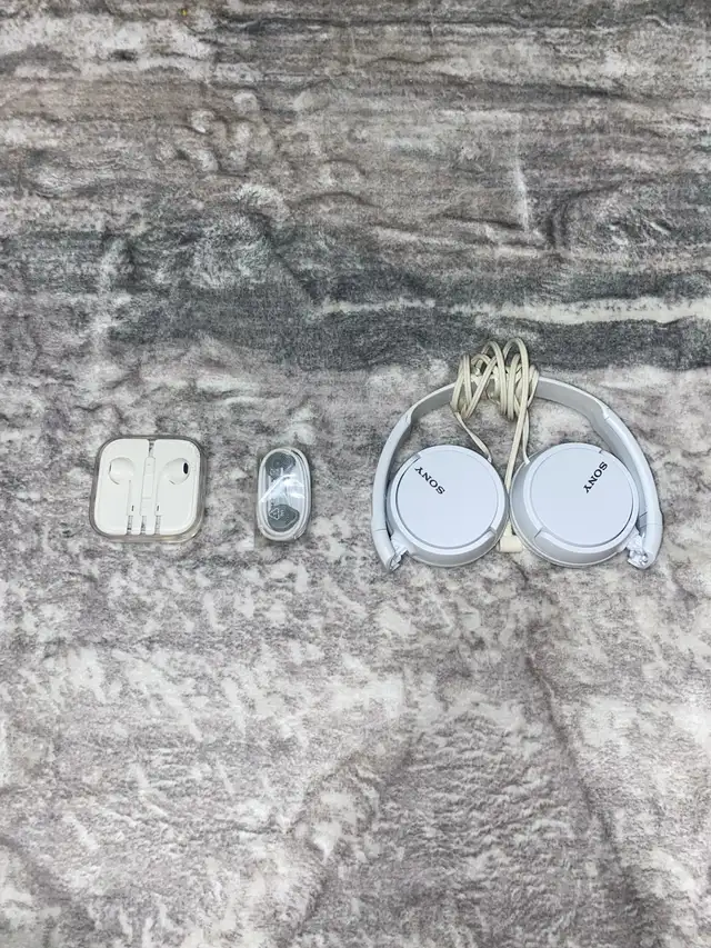 Headphones/Earbuds
