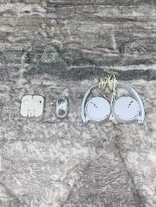 Headphones/Earbuds