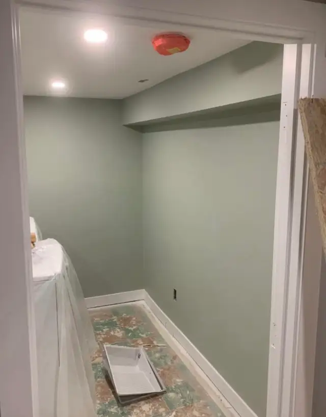 house painting & cleaning