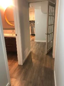 BANFF TRAIL-NW BEAUTIFUL 2 BDRM 1 BATH BSMT SUITE - 5 MIN WALK T - Photo 4