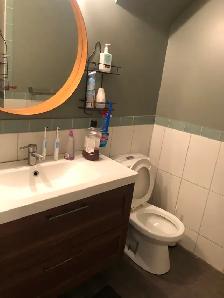 BANFF TRAIL-NW BEAUTIFUL 2 BDRM 1 BATH BSMT SUITE - 5 MIN WALK T - Photo 7