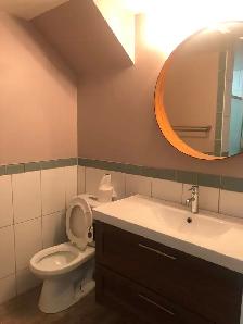 BANFF TRAIL-NW BEAUTIFUL 2 BDRM 1 BATH BSMT SUITE - 5 MIN WALK T - Photo 8