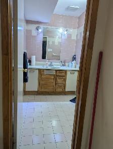 Spacious 1 Bedroom Basement flat for Rent with Rental Receipt - Photo 10