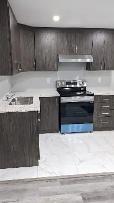 2 Bedroom Basement for Rent - Photo 13
