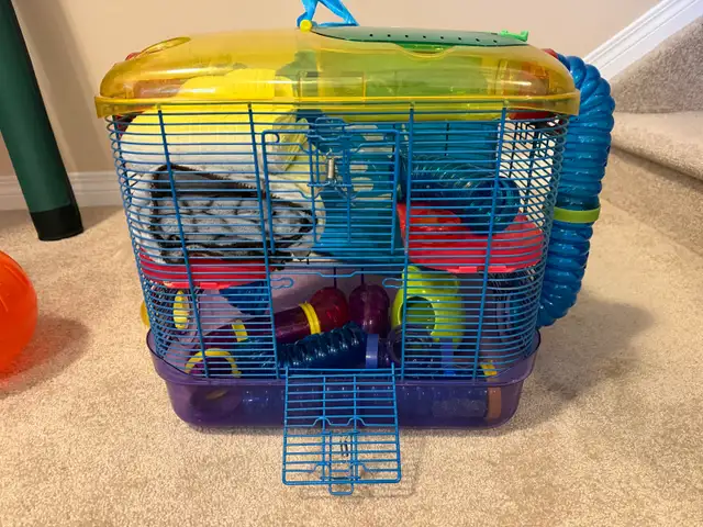 Hamster cage