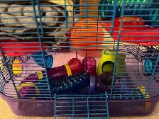 Hamster cage - Photo 2