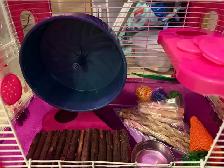 Hamster cage - Photo 4