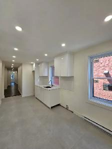 4 1/2 For Rent / Fully Renovated / Plateau Mont Royal - Photo 3
