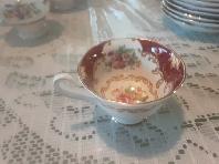 Royal Albert - Canterbury - Photo 7